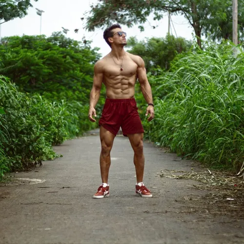 tigerjackieshroff