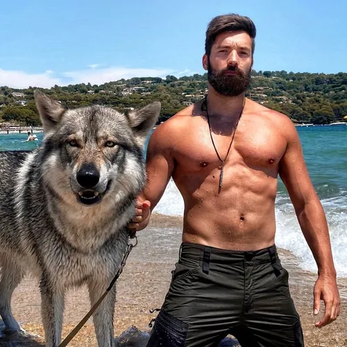 wolf_instinct