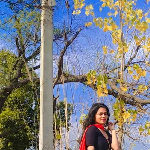 thebhartikumari