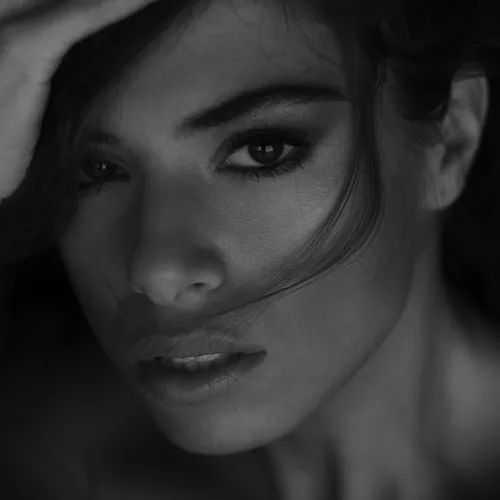 chiarab_model