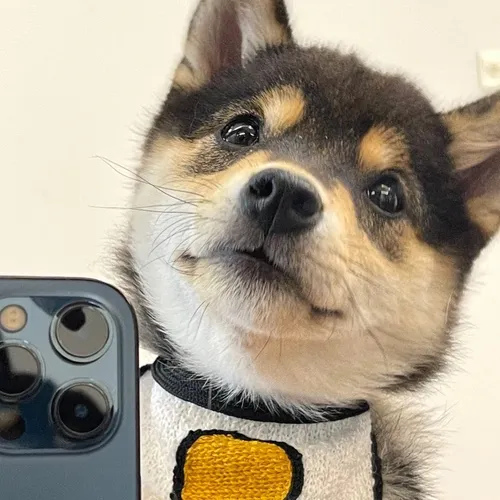 littlemanyu_