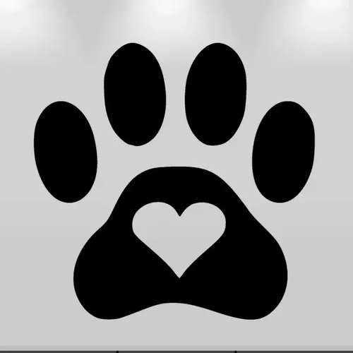 cats_dogs_panda
