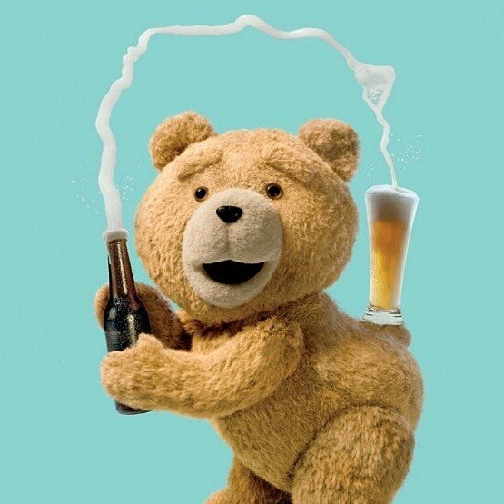 Ted's profile