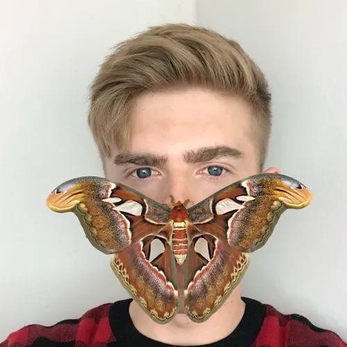 insecthaus_adi