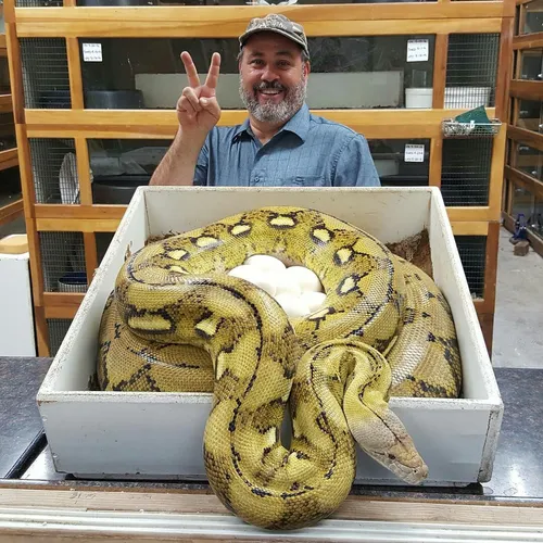 jayprehistoricpets