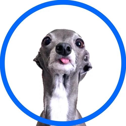 tikatheiggy