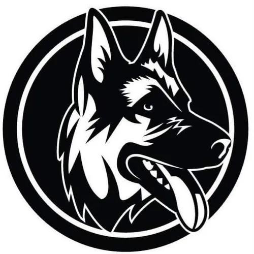 dogandhisboomer