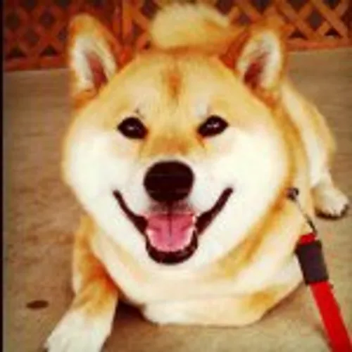 marutaro