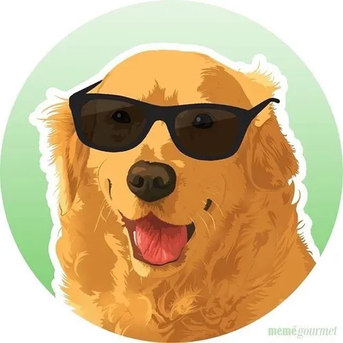 fluffypiqasso