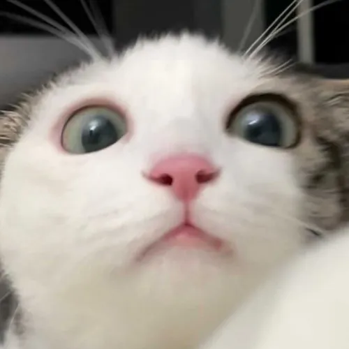 hoseobiiiiiii._.0410