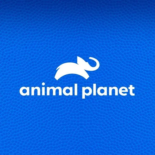 animalplanet