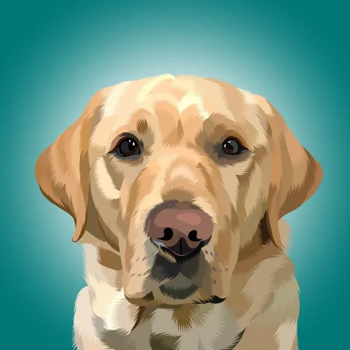 magnusthetherapydog