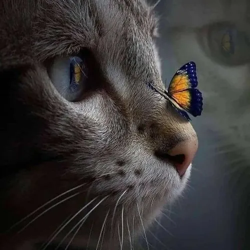 thatcatscreation