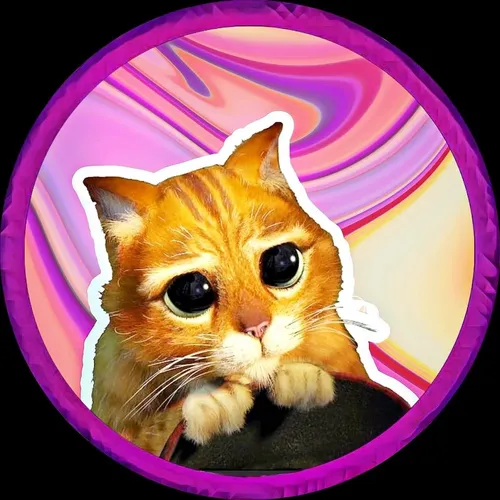 regularpuss