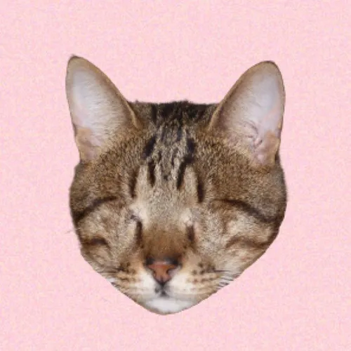 blind_cat_dmitri