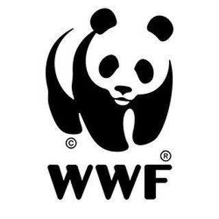 WWF International's profile