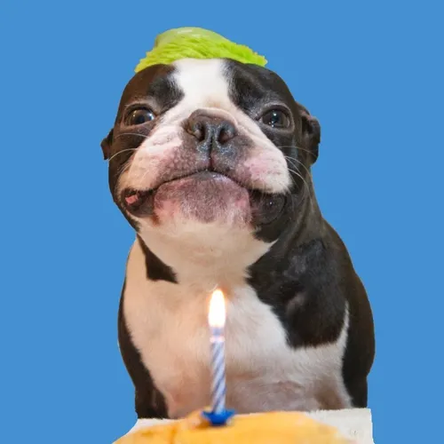 tobythegentleman