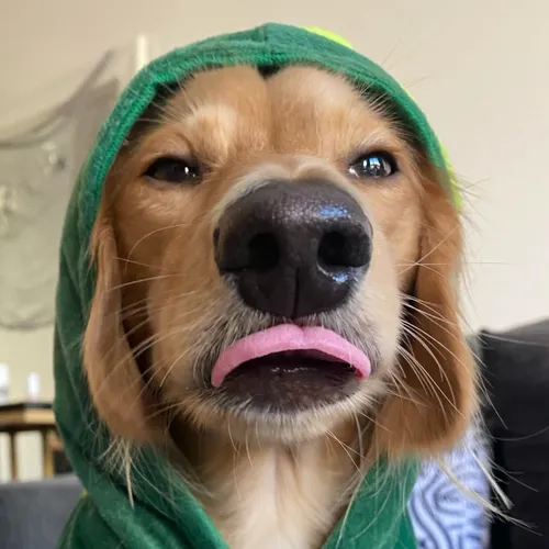 itsyaboy_winston