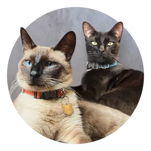 osgatosgangsters