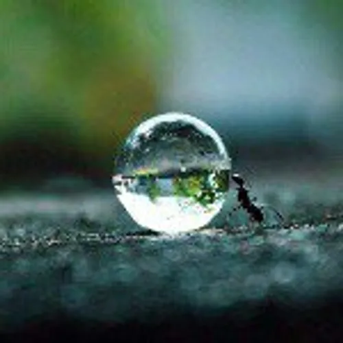 nature.geography