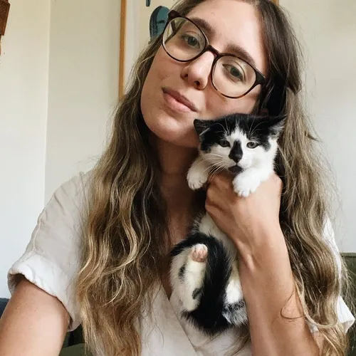 heidiwranglescats