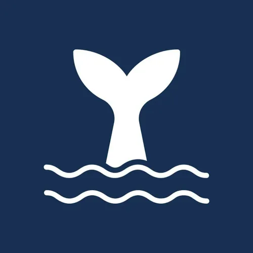 whalesnation