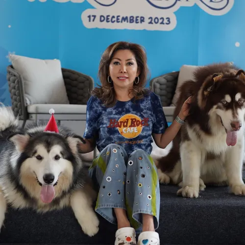 arkenmalamute