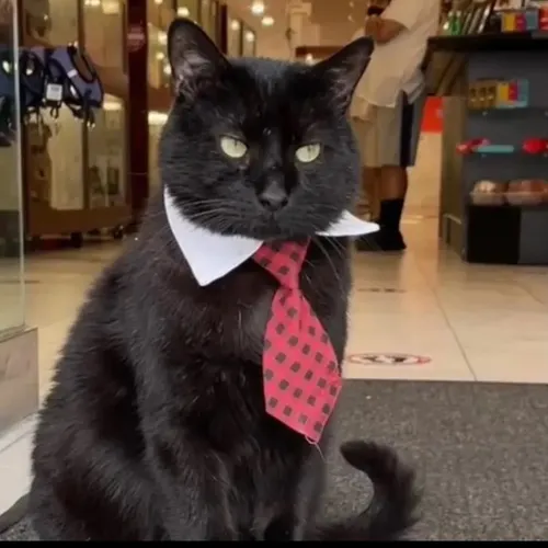 jeremy.the.manager
