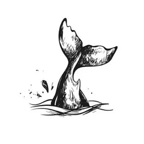 whalelife__