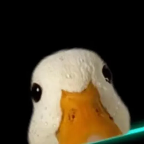 callduckofficial