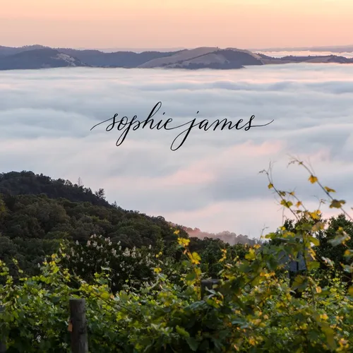sophiejameswine
