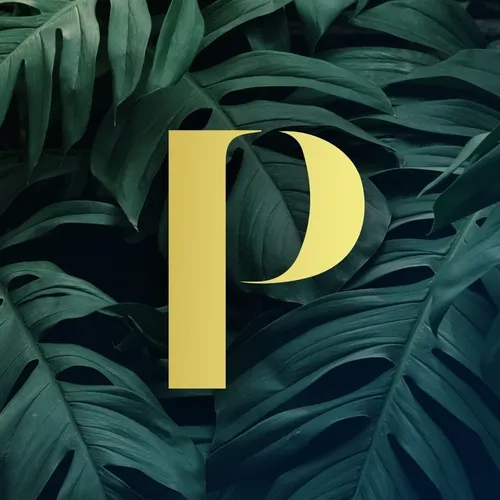 paradiso_barcelona