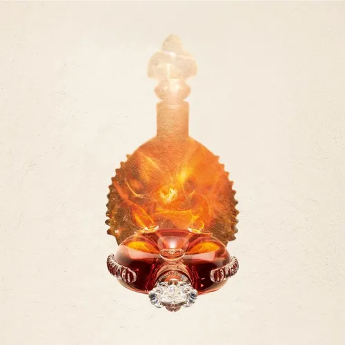 louisxiiicognac