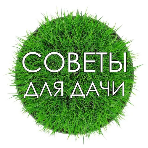 dacha_sovet