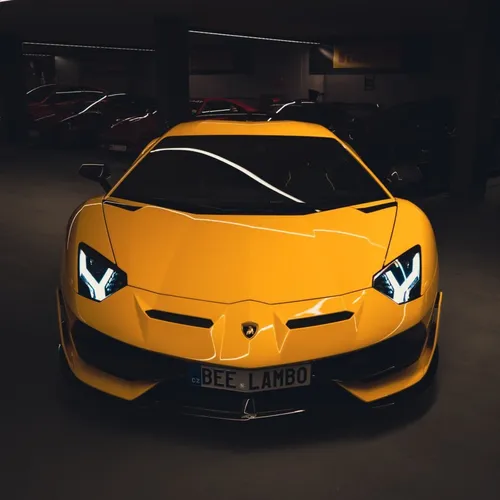 bee_svj