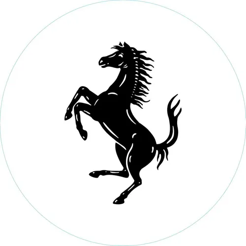 ferrariusa