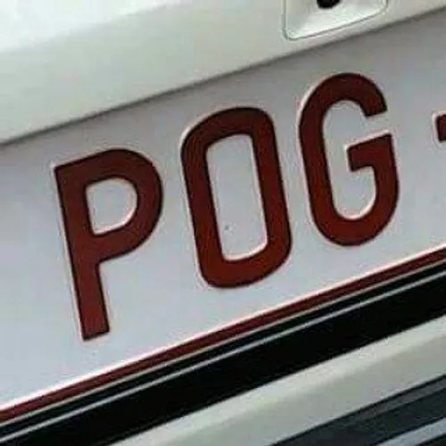 pogforever