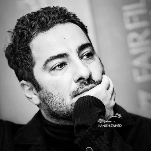 navidmohammadzadeh