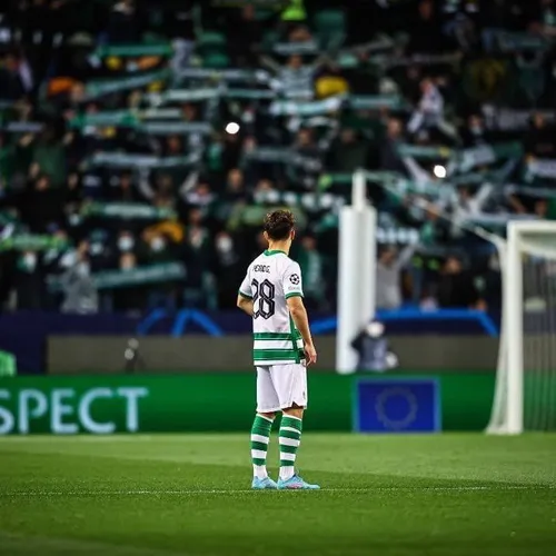 pedroogoncalves28