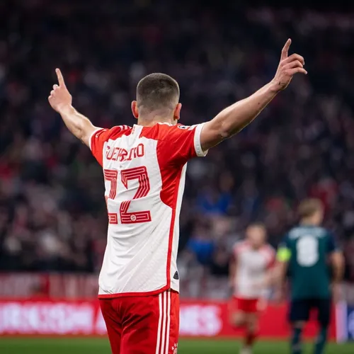 raphaelguerreiro14