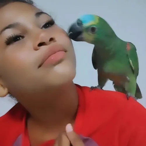 elizya_beatriz
