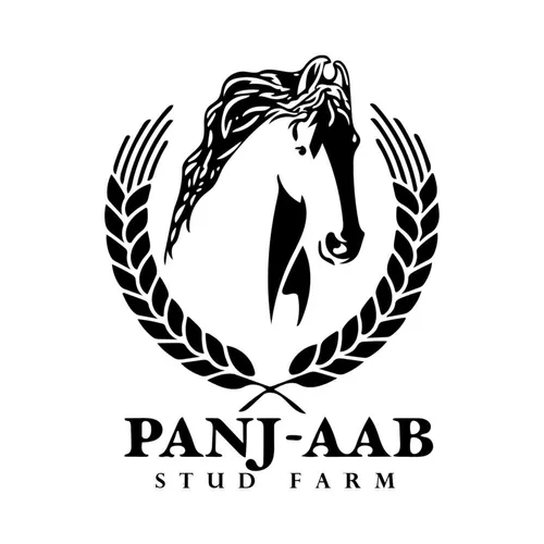 panjaabstudfarm