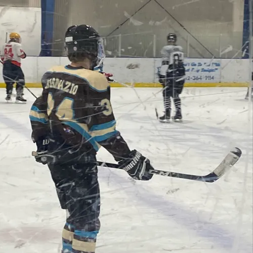 alex_dig29