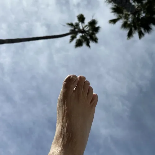 dannydevito