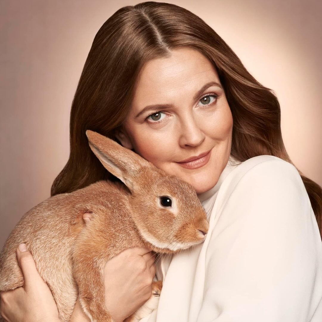 Drew Barrymore's profile