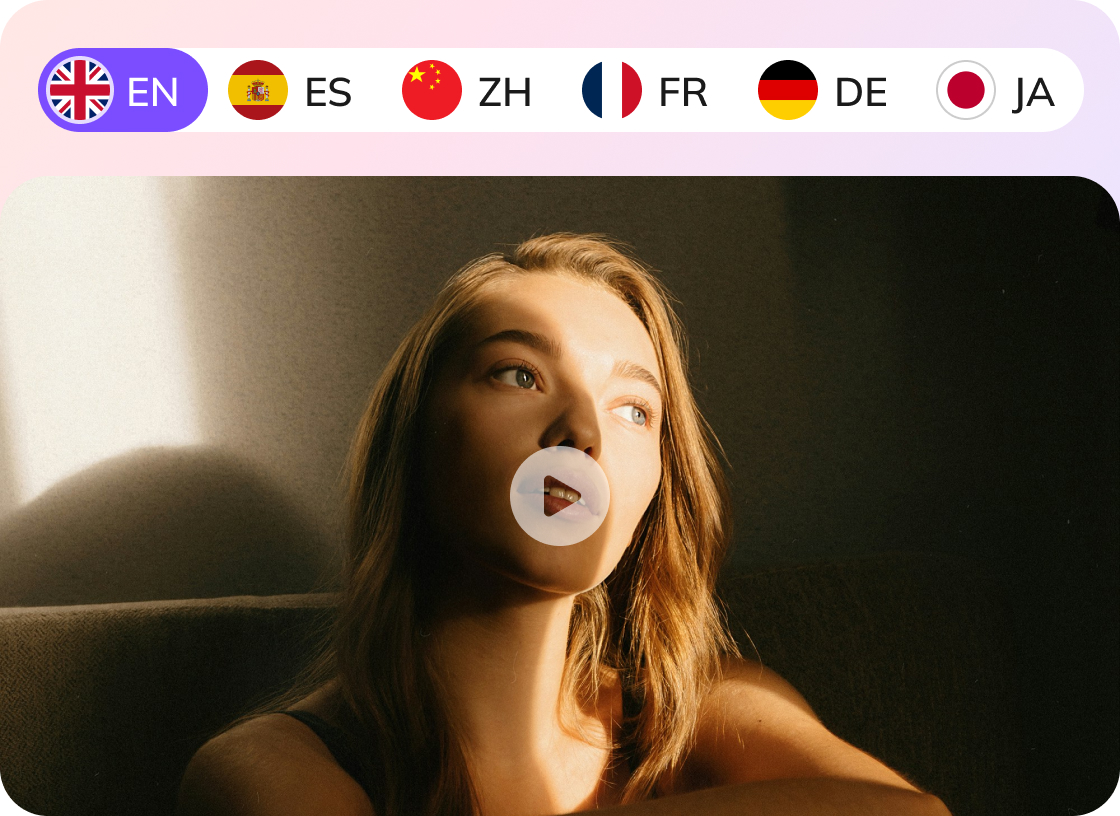 VMEG Video Translator