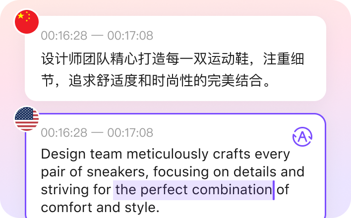 VMEG Video Translator