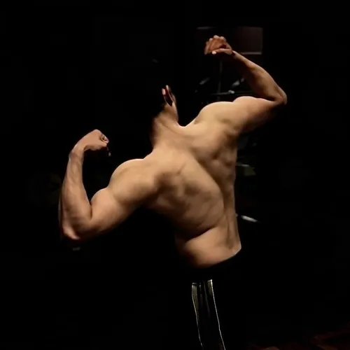fitshazzz